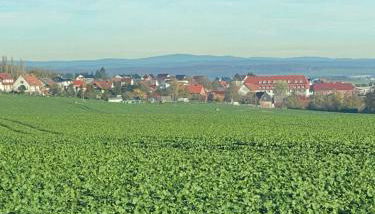Ferienwohnung Luzi - Photo 3