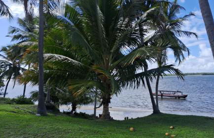 Apartamento Térreo Villa das Águas - Photo 52