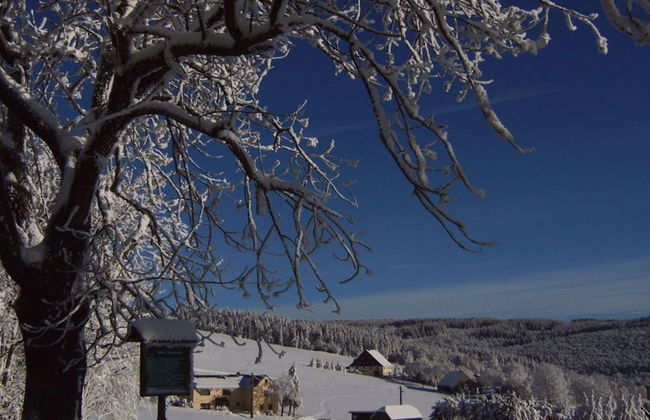 Holiday Apartment Family Kreissl - Foto 20