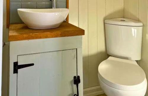 Bryn Gwyn - Ukc7801 - Foto 8