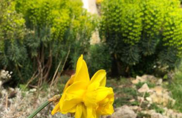 Le Merlat Gite - Foto 44