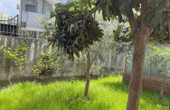 Kalpazo Tirana Vila 313 - Foto 41