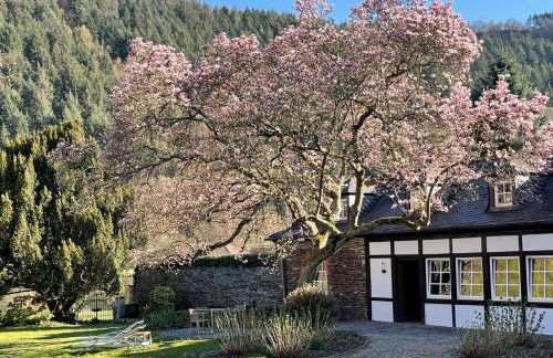 Ferienhaus Martinshof - Foto 46