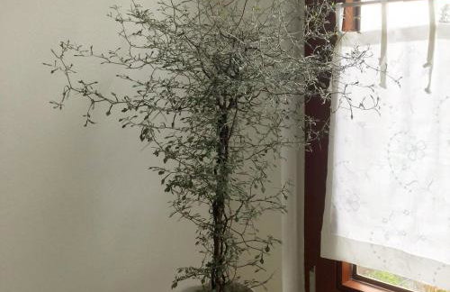 Maisonette am See - Foto 39