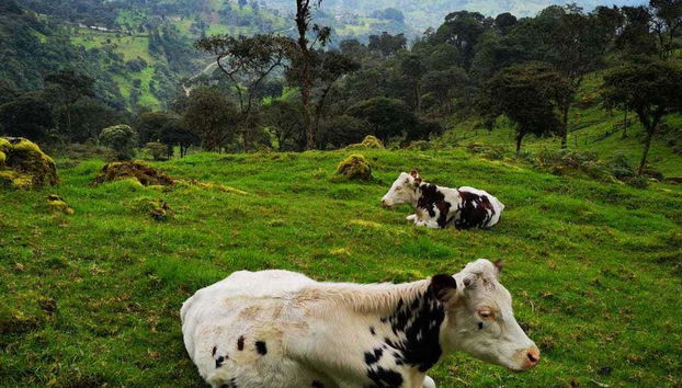 La Chorrera Waterfall Hike - Foto 3