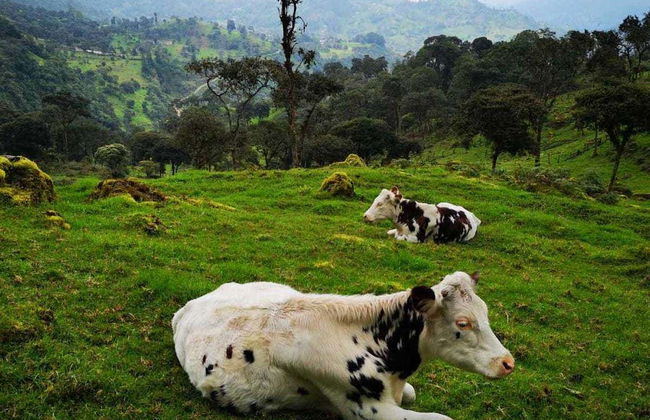 La Chorrera Waterfall Hike - Foto 3
