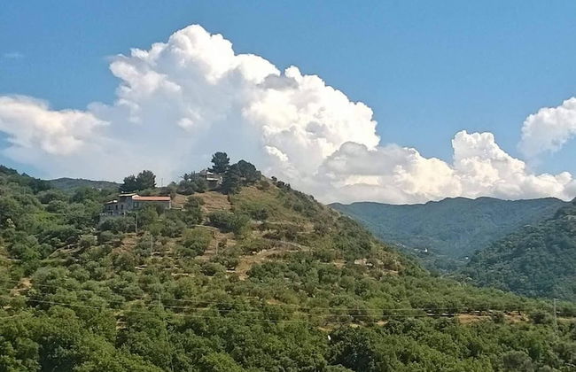 Room-michelangelo House, Bilo - Foto 37