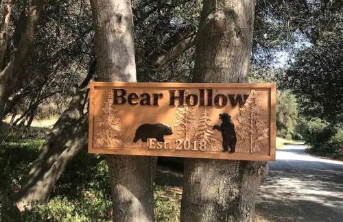 Bear Hollow by Sequoia National Park - Foto 31