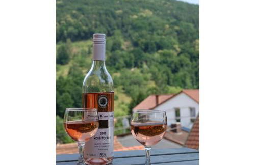 Holiday apartment Bambi in the house at the linden - Foto 18