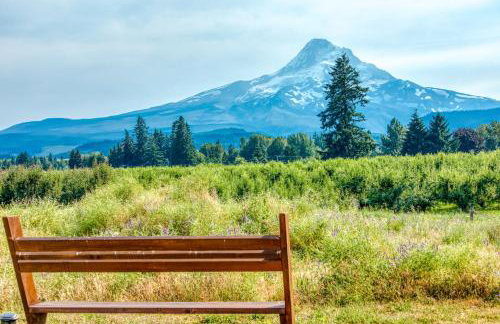 Mount Hood Vista - Photo 2