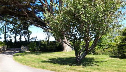 Trelawne Garden Annexe - Foto 5, Garden