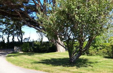 Trelawne Garden Annexe - Foto 5