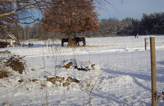 Cozy Holiday Home in Kappe With Balcony - Foto 16