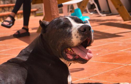 La Muntanera - Eco-friendly apartment - Foto 26