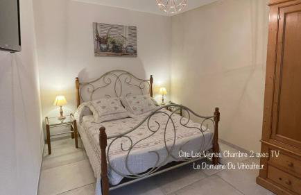 Le domaine du Viticulteur - Gite les Vignes - Foto 12