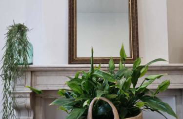 Le Vauban Cambrai - Foto 10