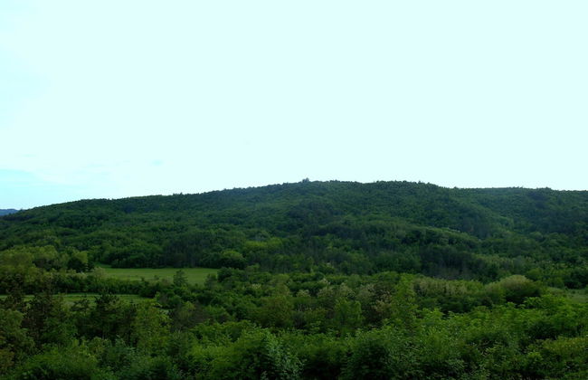 Holiday House Kapitani - Foto 29