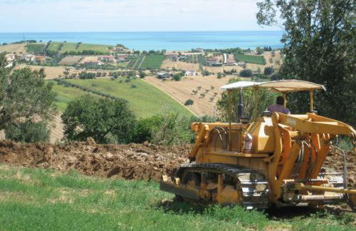 L'Orso e L'Ape B&B - Foto 47