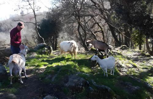 Historic Farmhouse Casa Del Chiodo - Foto 42