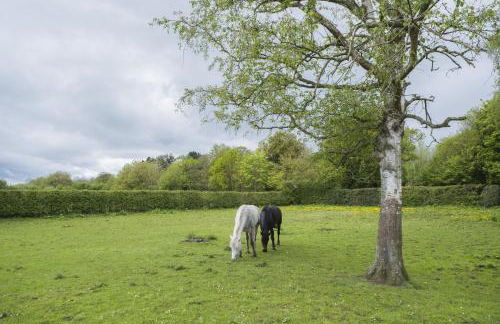 The Hoglets 2 by Together Travel - Luxury Cosy Cottage Retreat - Foto 21