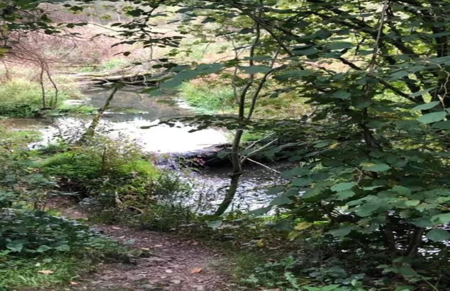 Modernes Apartment mit Zentralheizung in Willingen - Photo 21