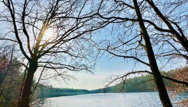 Domek letniskowy Iwonka - Foto 4