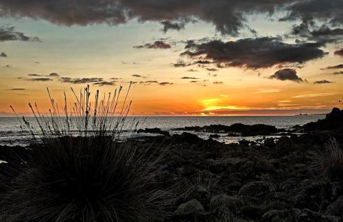 Casa Cruzeiro AL - by the sea OCEANTUR - Photo 1