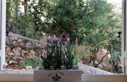 Villa Marigiosa Salento - Foto 36