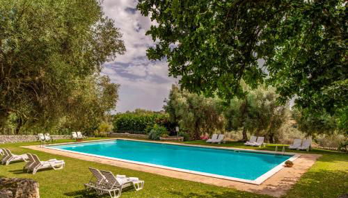 Agriturismo Borgo degli Ulivi - Foto 5