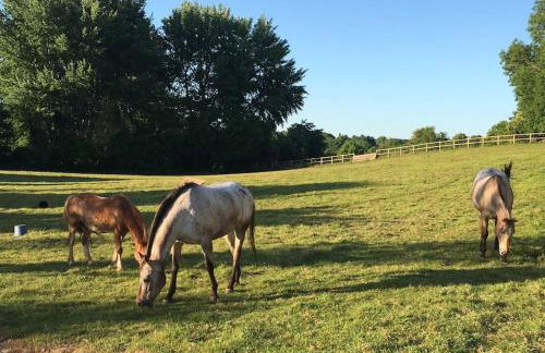 The Old Gasworks - Foto 35