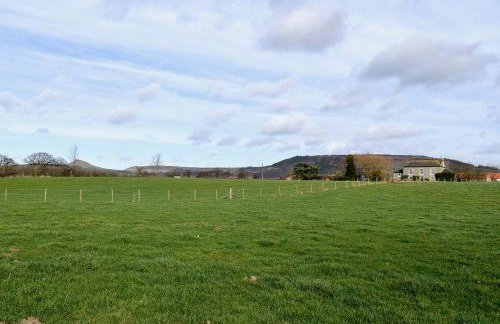 Rupert's Stable - Photo 6