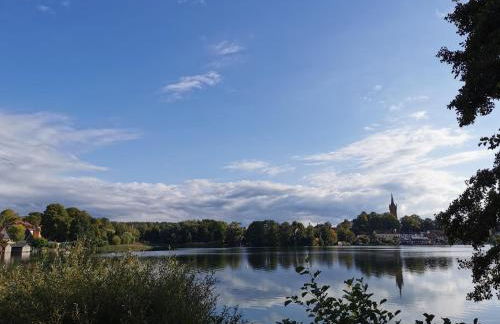 Tweet Tohuus - Foto 13