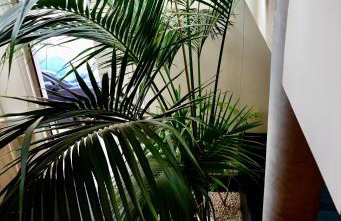 Maison indépendante Stylée climatisée 98m2 - Foto 32