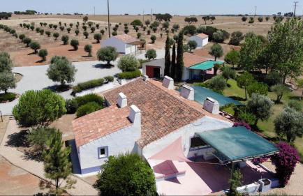 Courela do Monte Novo - Photo 15