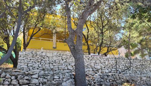 Vila Elena - Foto 5, Garden, Garden view