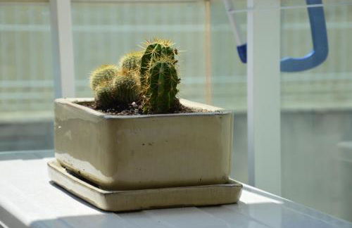 Pool, Beach, Golf & Hard Rock in Salou - Foto 33