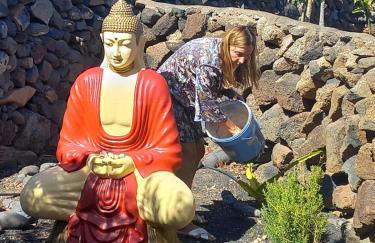 Centro Ave Fénix - Photo 40