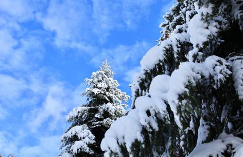 Komfortowy Dom w Chmurach - Foto 49