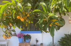 cortijo la alberquilla - Foto 27