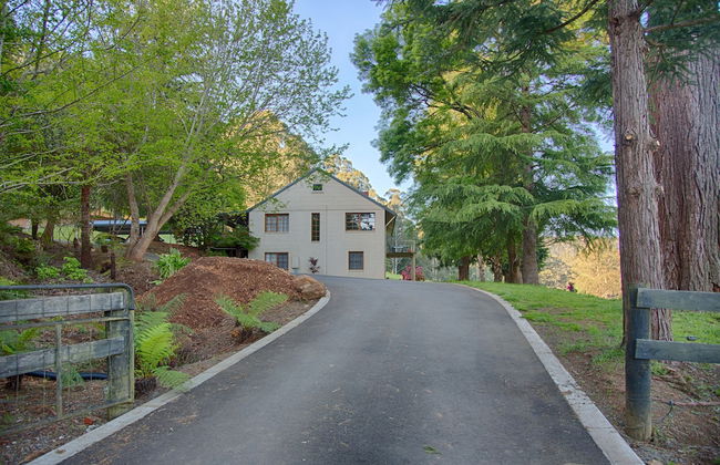 Toorongo Valley Estate - Foto 34