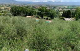 Casa vacanze Castellara - Foto 38