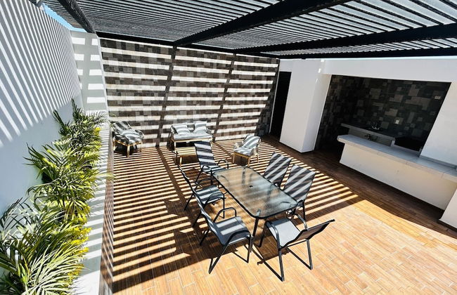 Flamingos - Photo 14