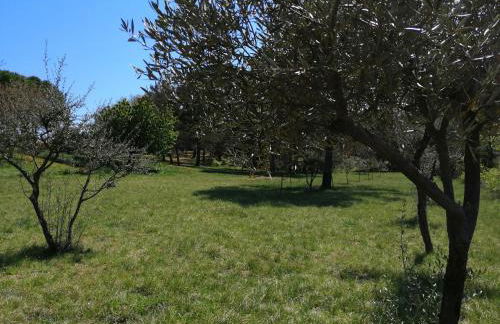 LES 3 HIRONDELLES - Foto 27