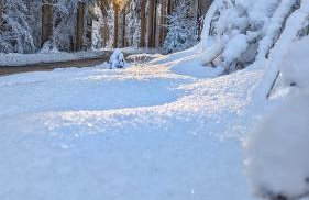 Ferienwohnung Im Grünen - Foto 6
