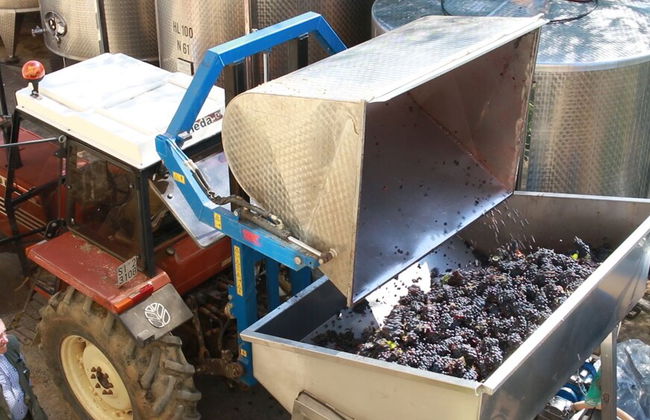 Antica Grancia di Quercecchio - Foto 41