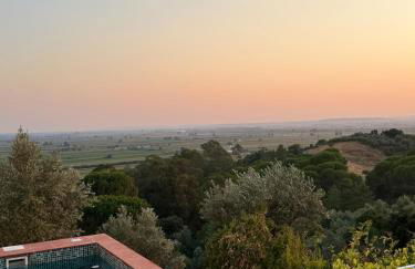 Lezíria Houses - Ribatejo - Foto 45