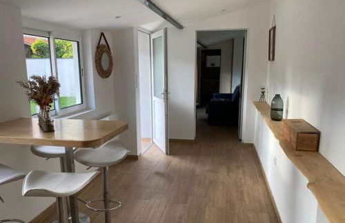 Micro maison Lyon 8/ Parking / Terrain de pétanque - Photo 11