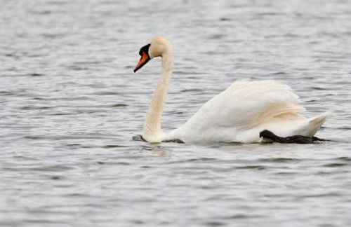 A unique, off-grid Eco Friendly Beach House. - Foto 65