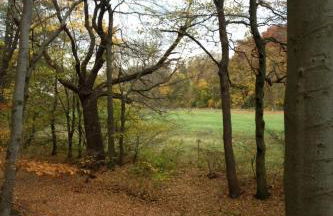 Holiday Home Großes- altes- umfassend saniertes Ferienhaus by Interhome - Foto 33