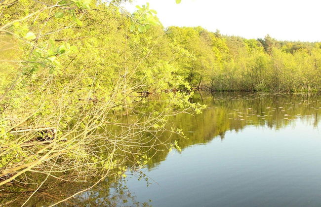 Holiday Home in Domyslow by Kolczewo - the Perfect Place for two Guests - Photo 10